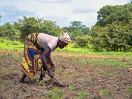 Poverty Eradication